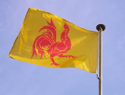 Wallonie, e-business, taxesarshall Plan Marshall 4.0